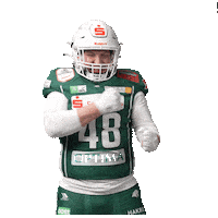 Happy Celebration Sticker by Schwäbisch Hall Unicorns