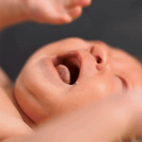 chaycoi01 giphyupload GIF