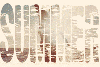 palm trees summer GIF