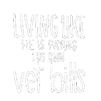 Horse Calligraphy Sticker