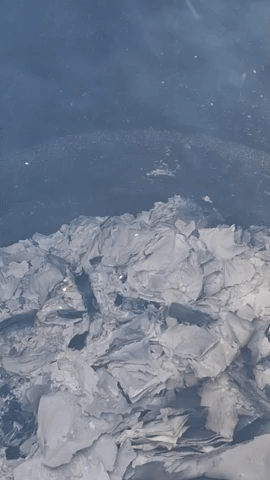 Simongip giphyupload GIF