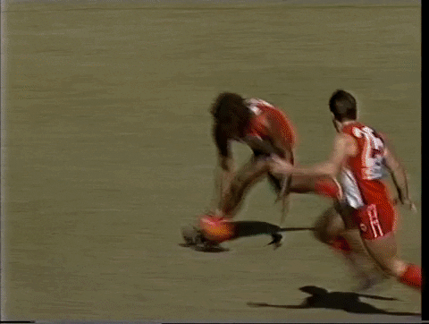 tomfreo giphyupload GIF