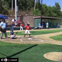 rawlingstigers baseball mlb hit home run GIF