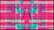 Video Art GIF by cskonopka