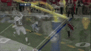 has tennessee football GIF