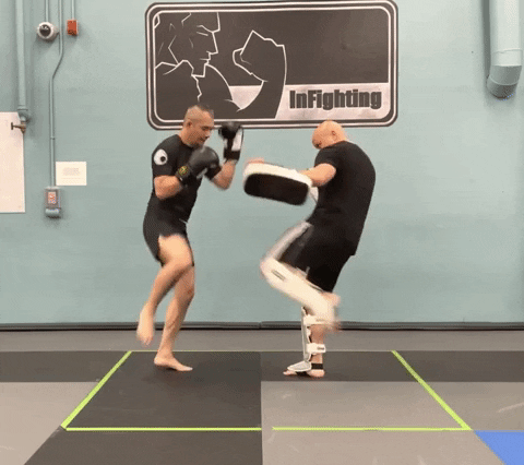 ritchieyip giphygifmaker kickboxing drills shin guards GIF