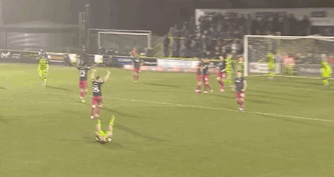 Ecfc Exetercity GIF by Exeter City Football Club