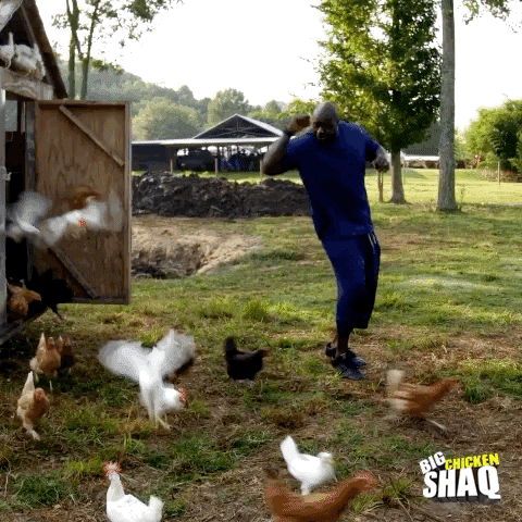 season 1 facebook watch GIF by Big Chicken Shaq