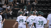 baseball wave GIF by GreenWave