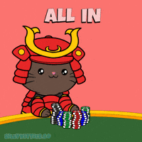 Game Time Cat GIF by Silly Kitties