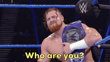 Who Are You Reaction GIF by WWE