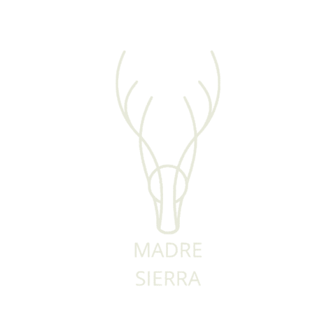 MadreSierra artesanal madera insectos cobre Sticker
