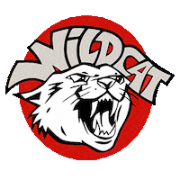 Wildcat Sticker by Pyzel Surfboards