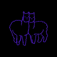 Lama Lamy GIF by Katalog Marzeń