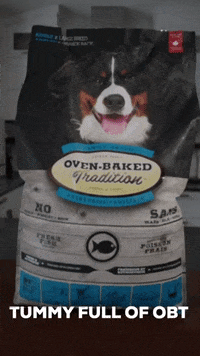 Dog Dogfood GIF by OvenBakedTradition