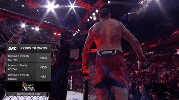 Mixed Martial Arts Sport GIF by UFC