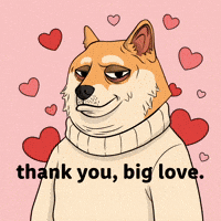 Shiba Inu Love GIF by Doge Pound