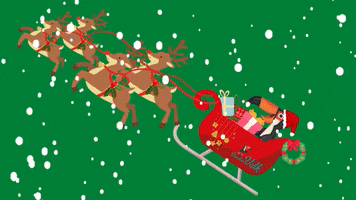Merry Christmas Toekan GIF by Van der Valk