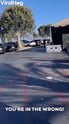 Woman Tries to Lay Claim to Parking Spot