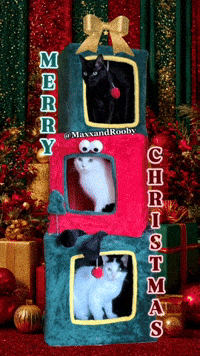 Merry Christmas Cat GIF