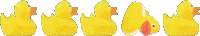Secretaligner duck pato patito secretaligner Sticker
