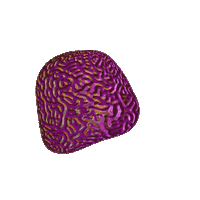 Brain Sticker