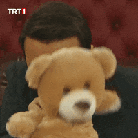 Teddy Bear Whatever GIF by TRT