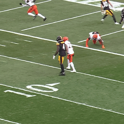 Excited Celebration GIF by Pittsburgh Steelers