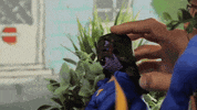henry danger nick GIF by Nickelodeon