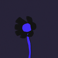 Away We Go Flower GIF by Shane Beam