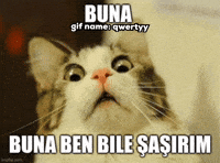 Şaşırma Qwertyy GIF