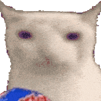 WexyyFX cat kedy cips wexyyflex GIF