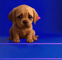 I Miss You Dog GIF by Maryanne Chisholm - MCArtist