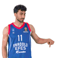Sport Basketball Sticker by Anadolu Efes SK