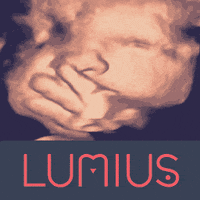 clinicalumius kiss baby kisses bebe GIF