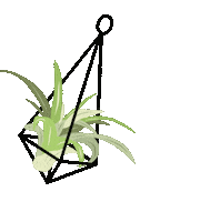 Plant Sticker by HGTV Canada