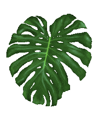 Plants Grow Sticker