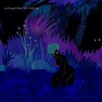 Night Wtf GIF by La Guarimba Film Festival