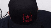 LERVIGBEER beer mike brewery lervig GIF