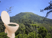 Toilet Bathroom GIF