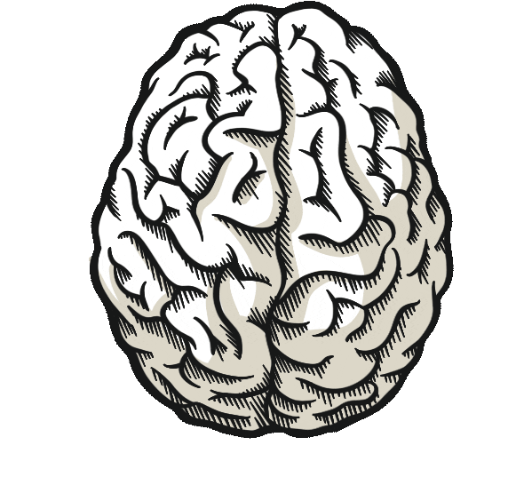 ehv-fernstudium giphyupload think smart brain Sticker