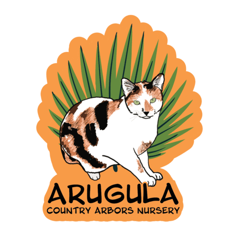CountryArbors giphyupload cat cats country Sticker