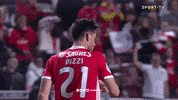 Sl Benfica Celebration GIF by Sport Lisboa e Benfica