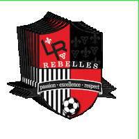 louisrielsoccer  Sticker
