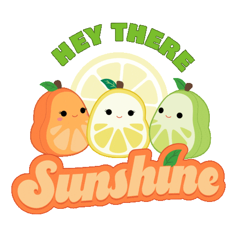 Summer Orange Sticker by Squishmallows