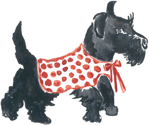 Driving Black Dog Sticker by Radley