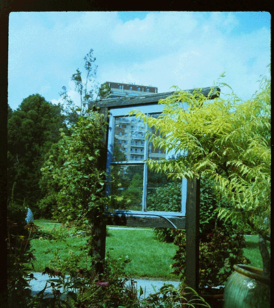 window garden GIF by Christina Lu