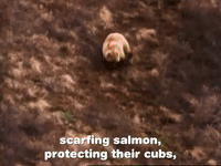 season 1 GIF