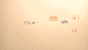 animation jungle GIF by LoupBlaster