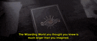 harry potter news GIF